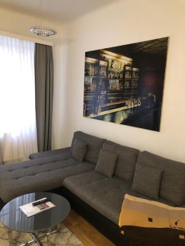 Krongasse Apartment
