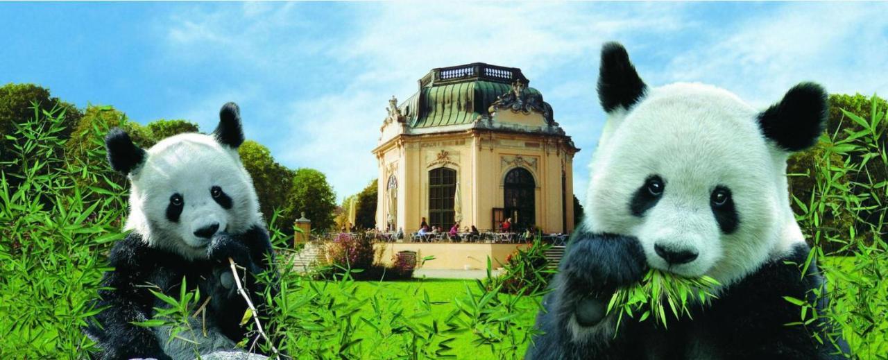Zwischen Schönbrunn Und Dem Center. Apt. 39 *