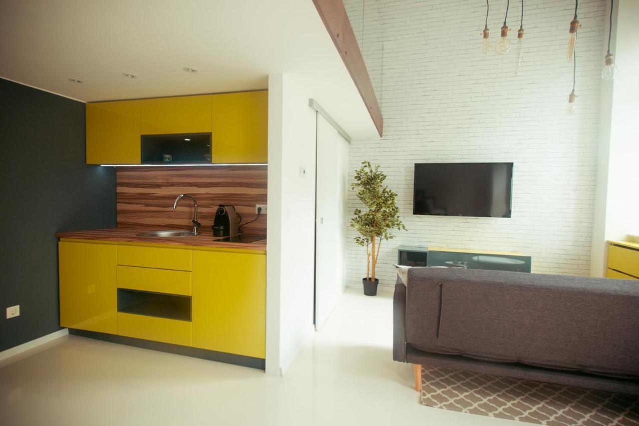 Apartment Zeus Design Loft