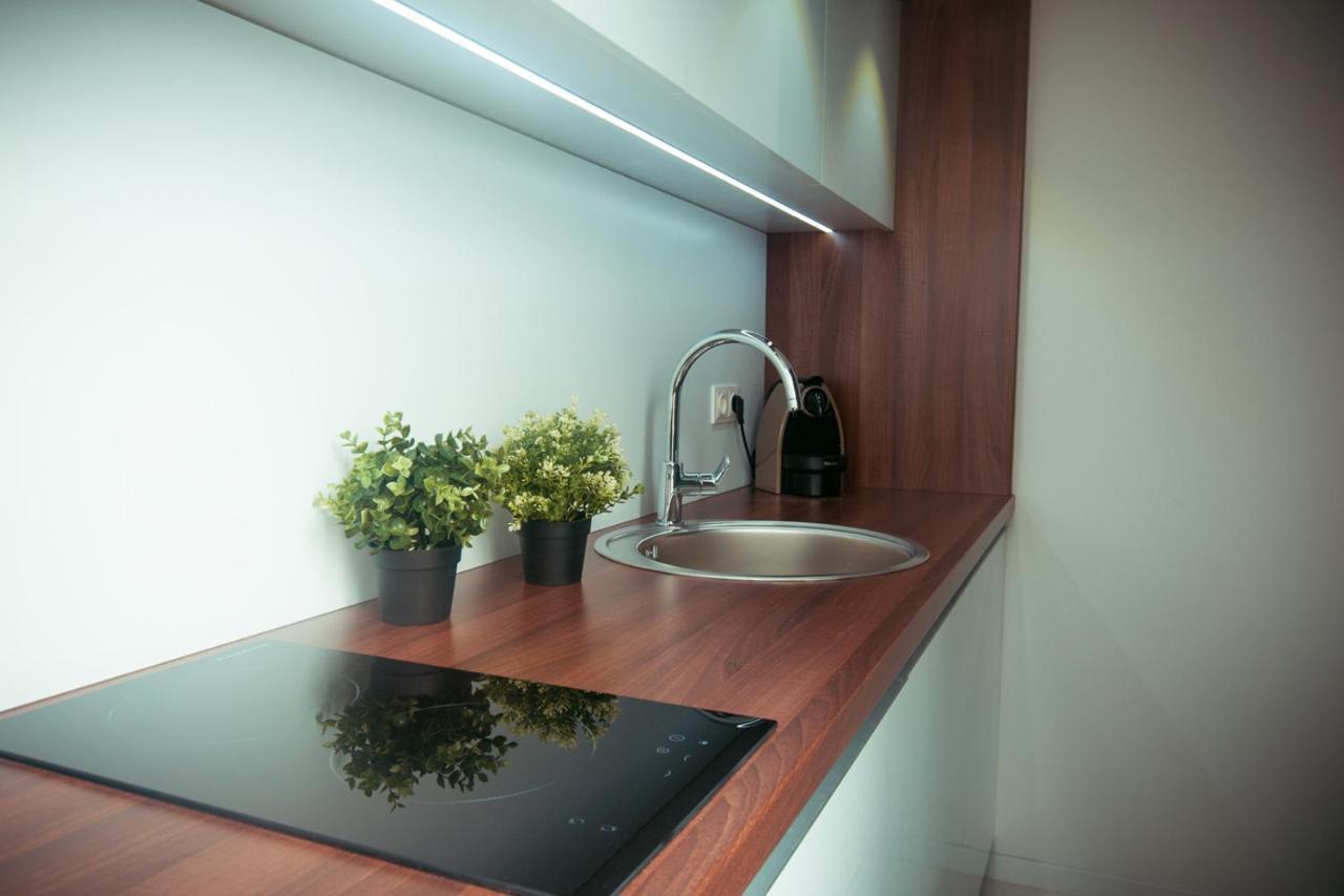 Zeus Design Loft Apartment Vienna