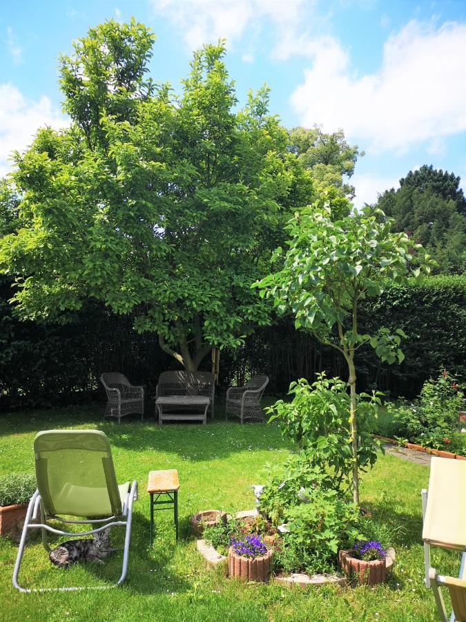 Christl - Mit Garten Und Pool Zur Mitbenutzung * Vienna