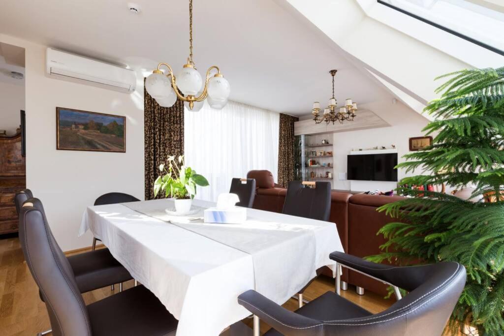Grosses Penthouse #12 Mit Terrasse Und Aussicht