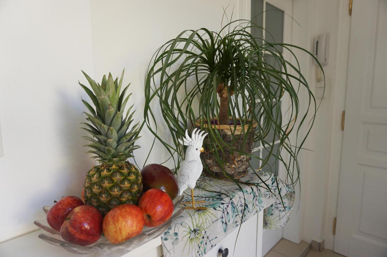 Zieglergasse Apartment *