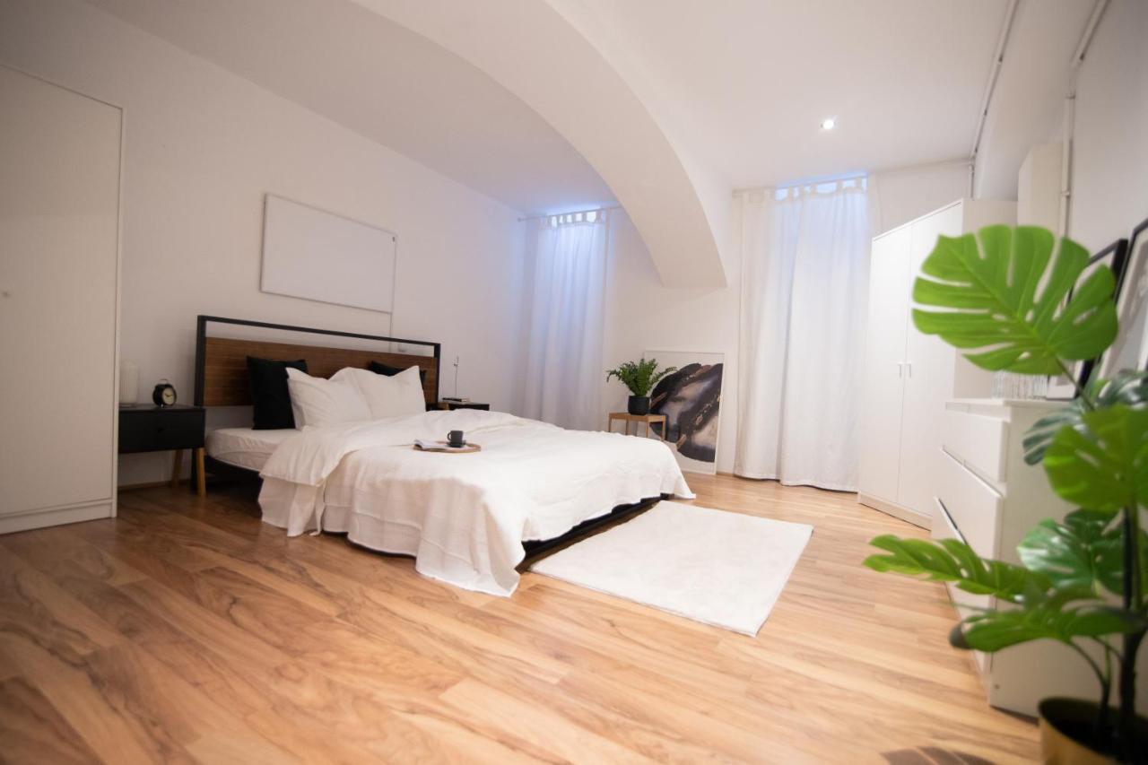 Vintage Loft Im Zentrum