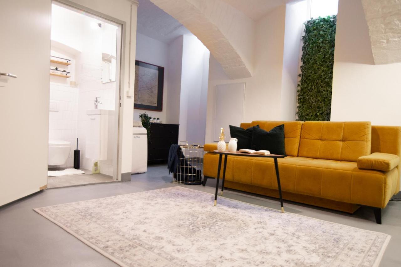 Trendy Souterrain Loft - Near Center Apartment