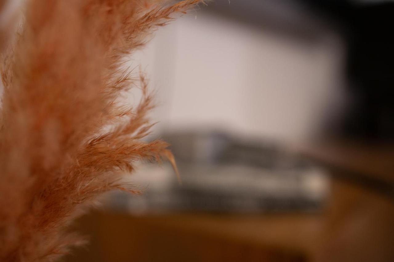 Vintage Loft Im Zentrum Apartment *