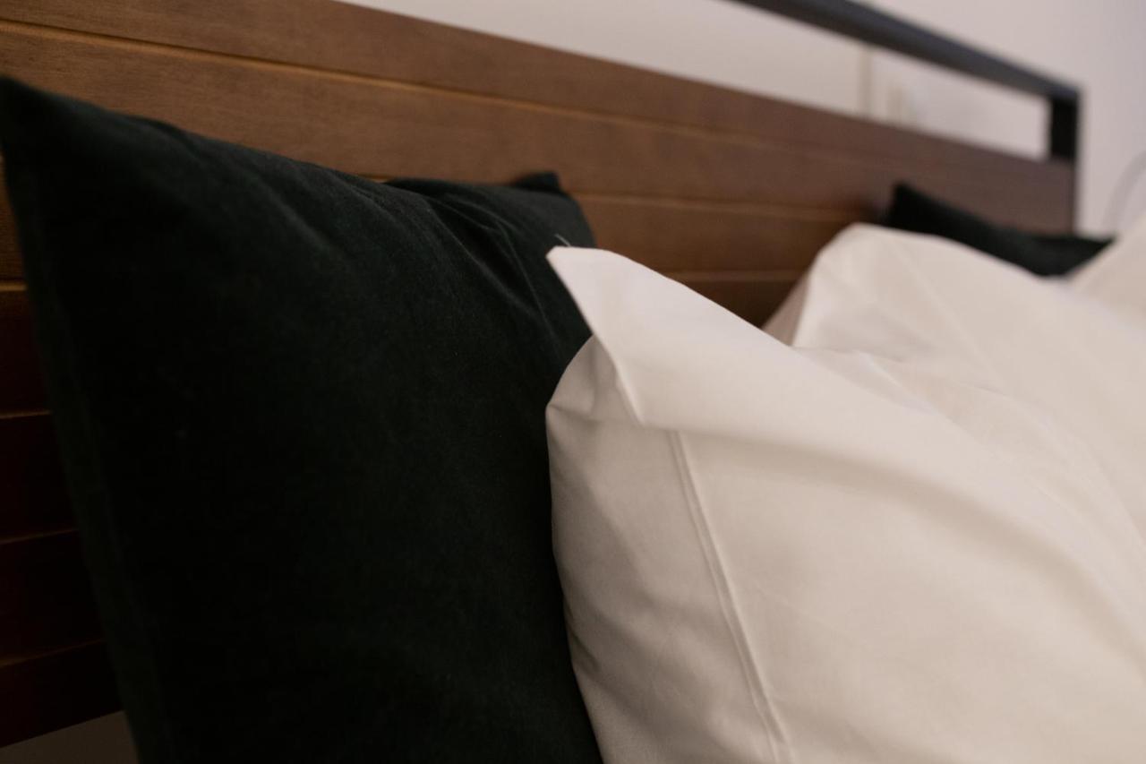 Vintage Loft Im Zentrum Apartment Wien