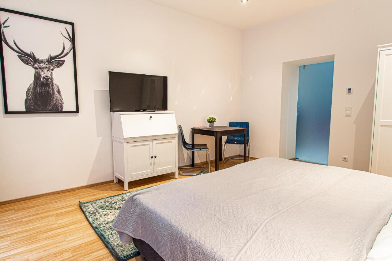 Apartment Ruedigergasse