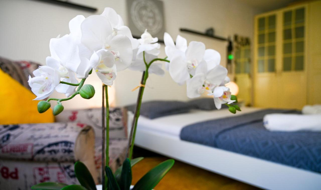 Apartment Cozy Margareten Vienna