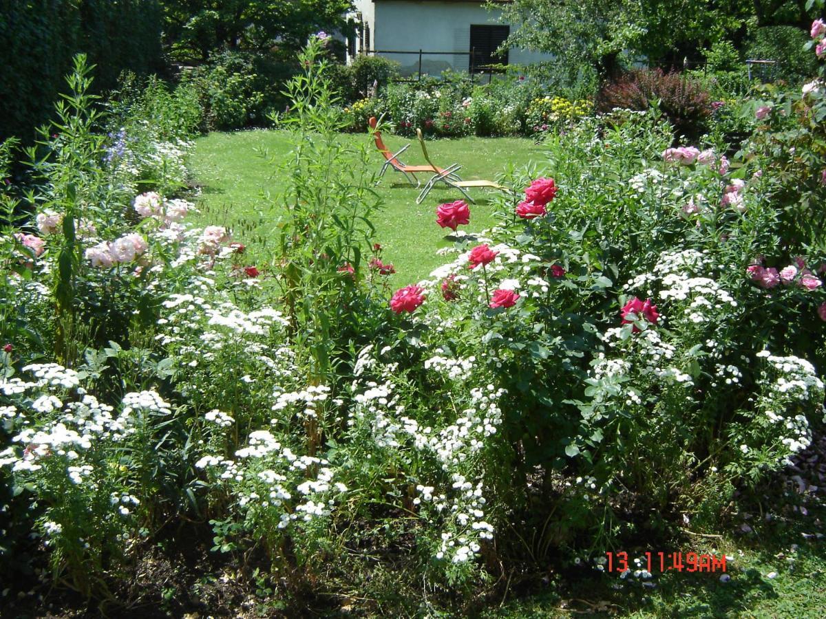 Ferienhaus Im Garten Mit Pool Vienna