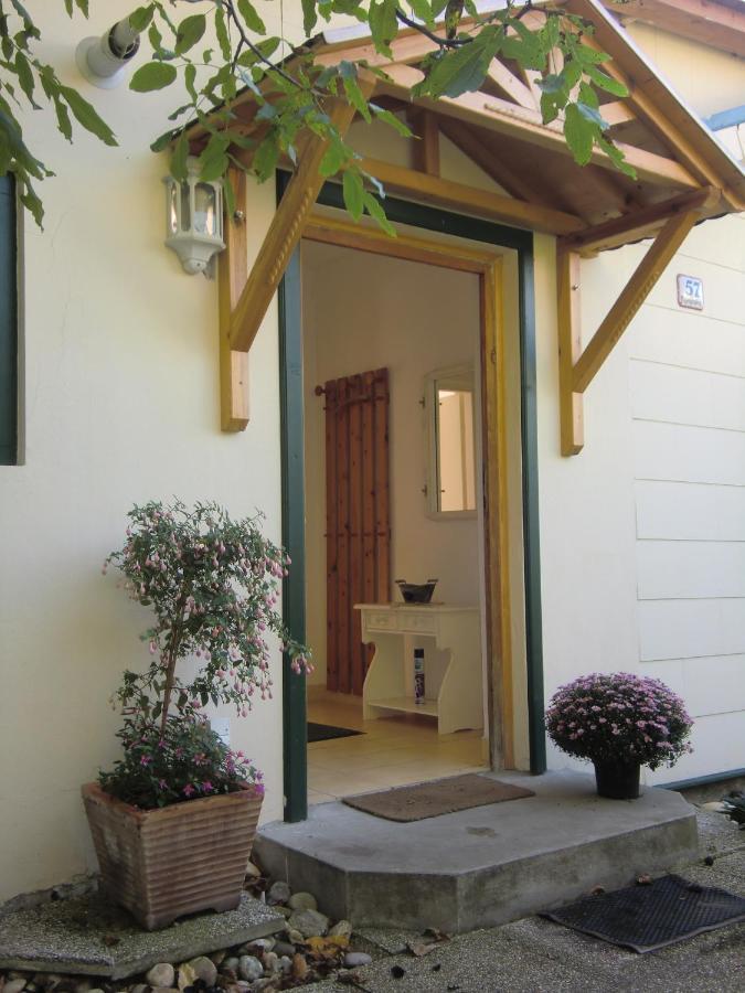 Apartment Ferienhaus Im Garten Mit Pool Vienna
