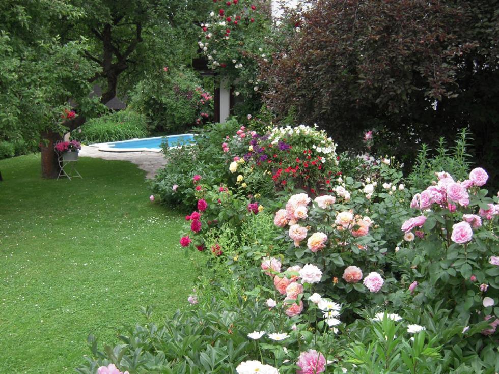 Ferienhaus Im Garten Mit Pool