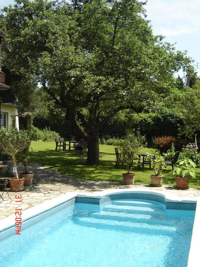 Ferienhaus Im Garten Mit Pool