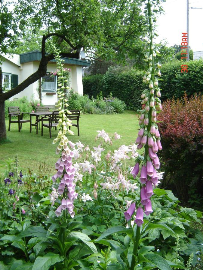 Ferienhaus Im Garten Mit Pool Vienna