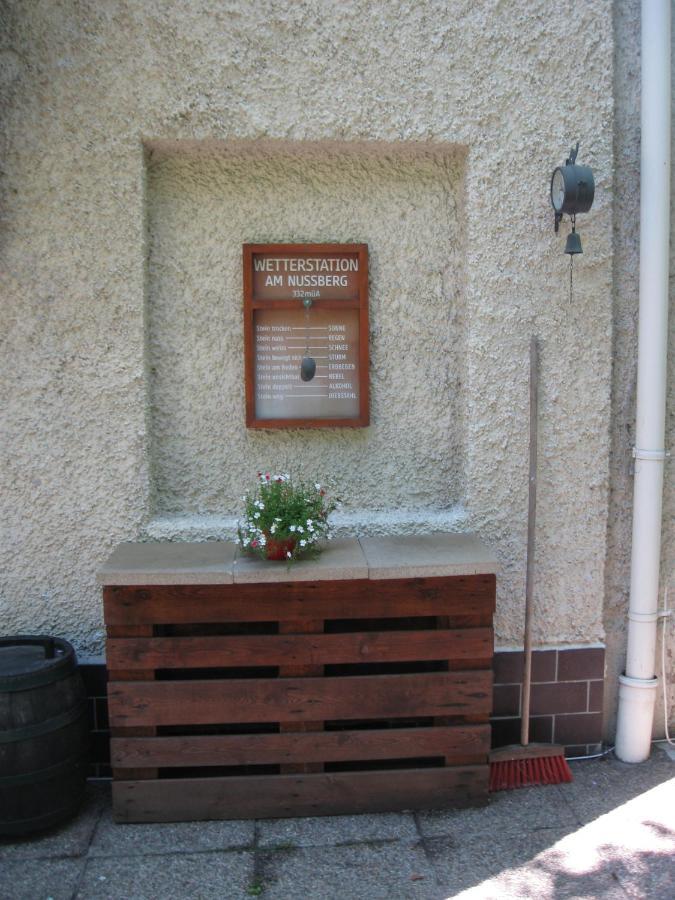 Danube View House With Garden