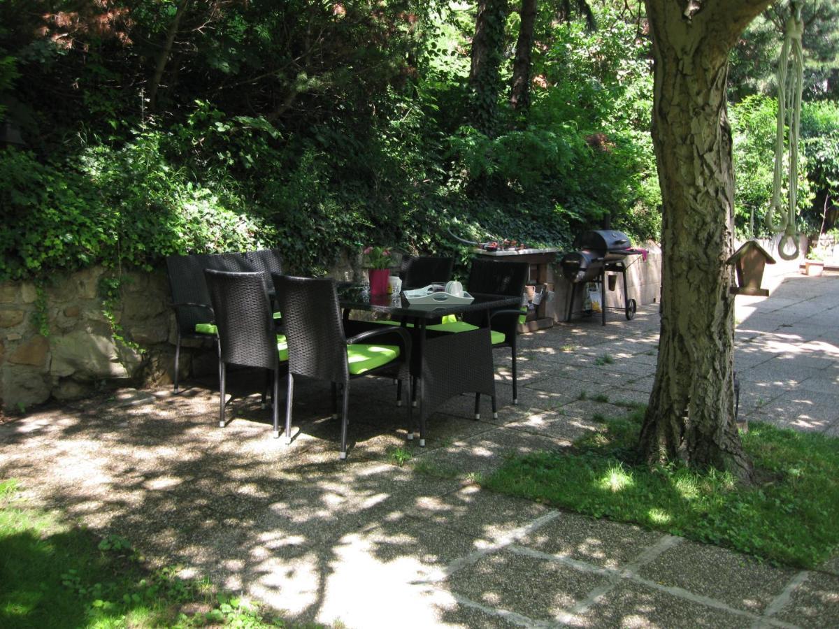 Danube View House With Garden Vienna