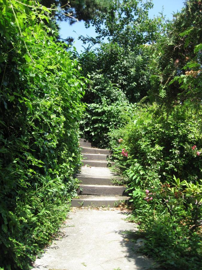 Apartment Danube View House With Garden Vienna