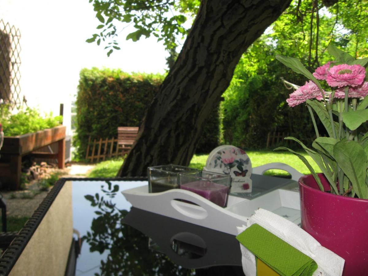 Apartment Danube View House With Garden *