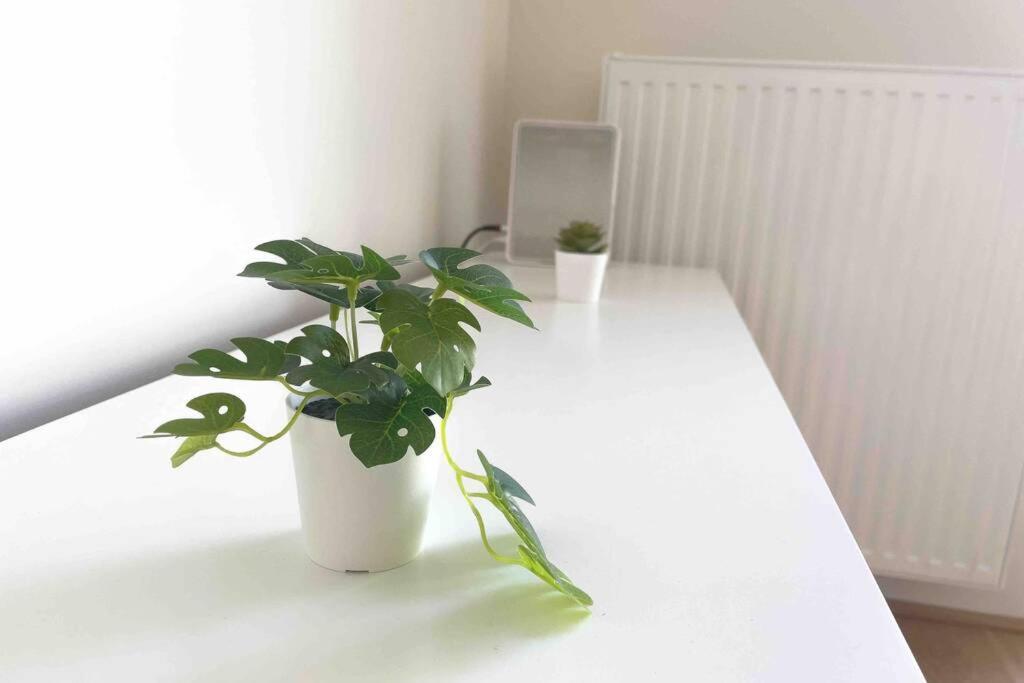 Modern & Sunny 52m2 With Balcony & Fast Wifi Wien