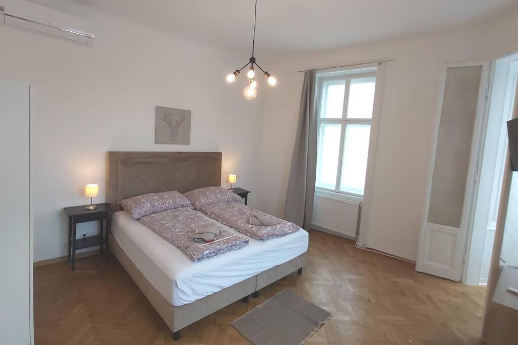 Apartment Lovely New 2 Bedroom Near Hannovamarkt