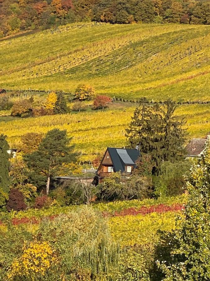 Holiday home Vacationhome In The Vineyards *