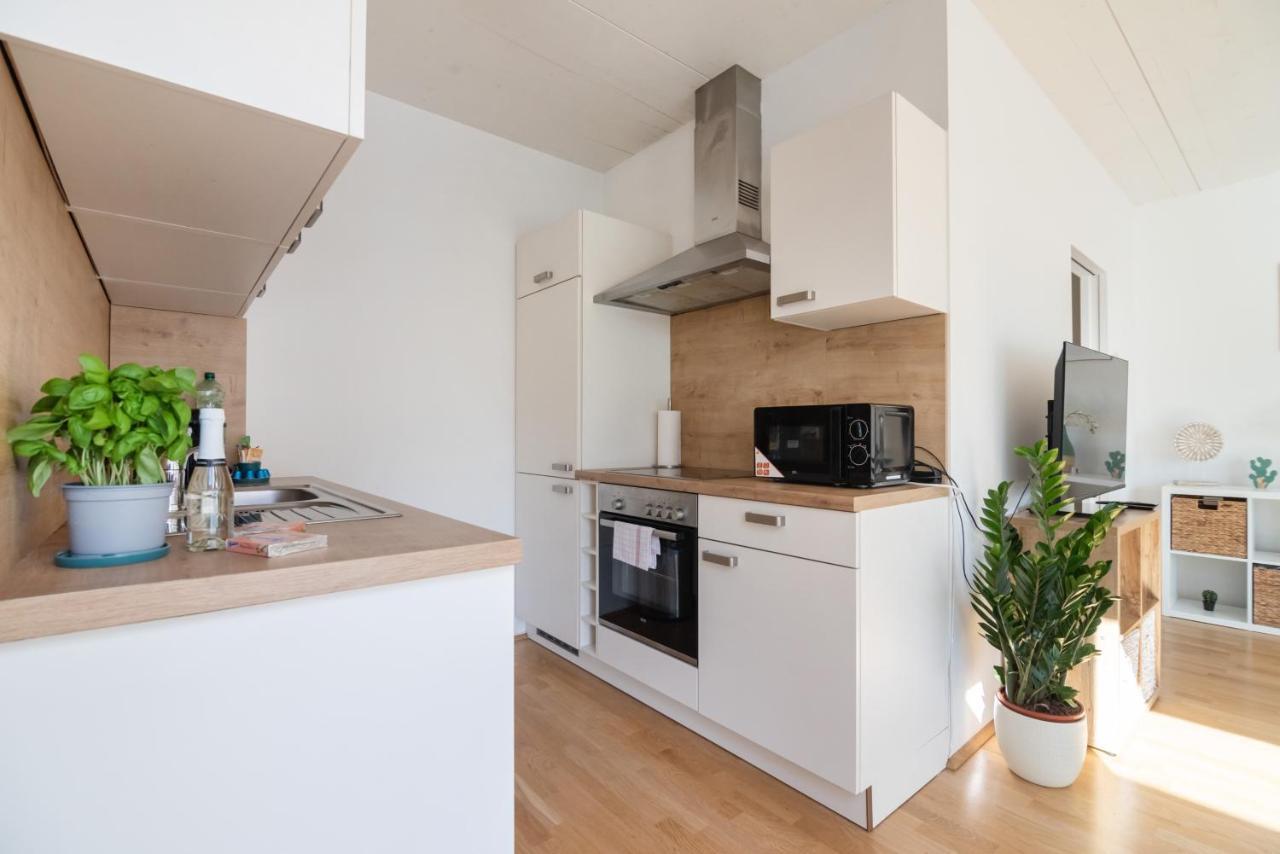 Apartment Helles, Neues Dg Mit Blick Zum Donauturm Wien