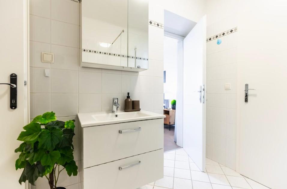 Experience From A Stylish And Modern Apartment Vienna