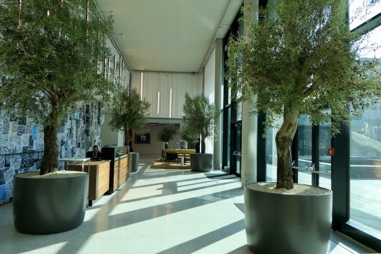 New Luxury Overlooking Apartment