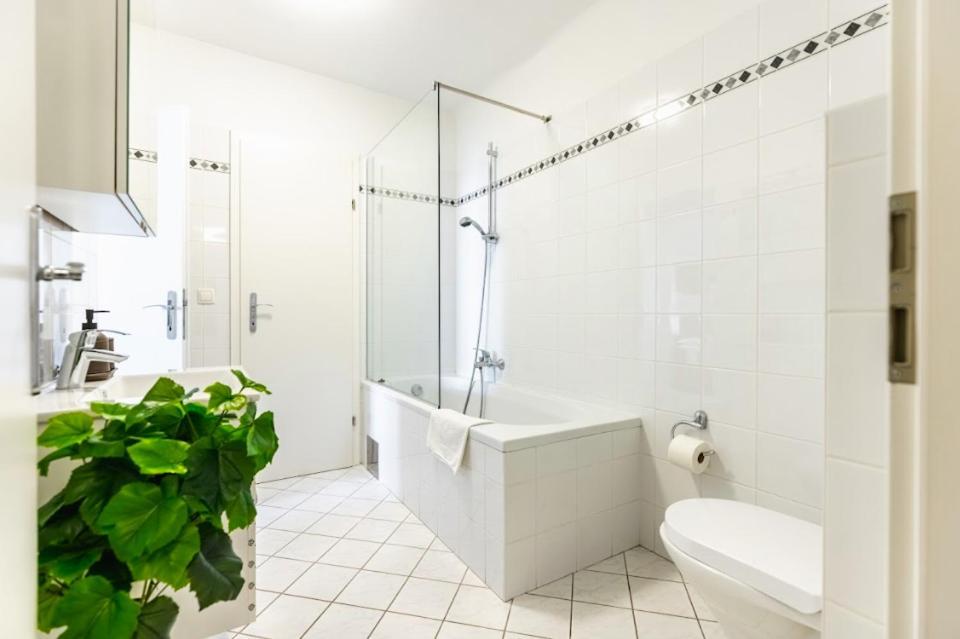 Apartment Experience From A Stylish And Modern
