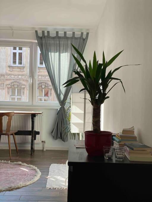 Apartment Dream Of Belvedere Vienna