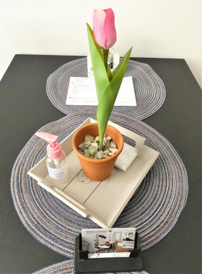 Msq Diana - 10 Min From Center - Free Coffee And Tea - High Speed Internet Apartamento Viena