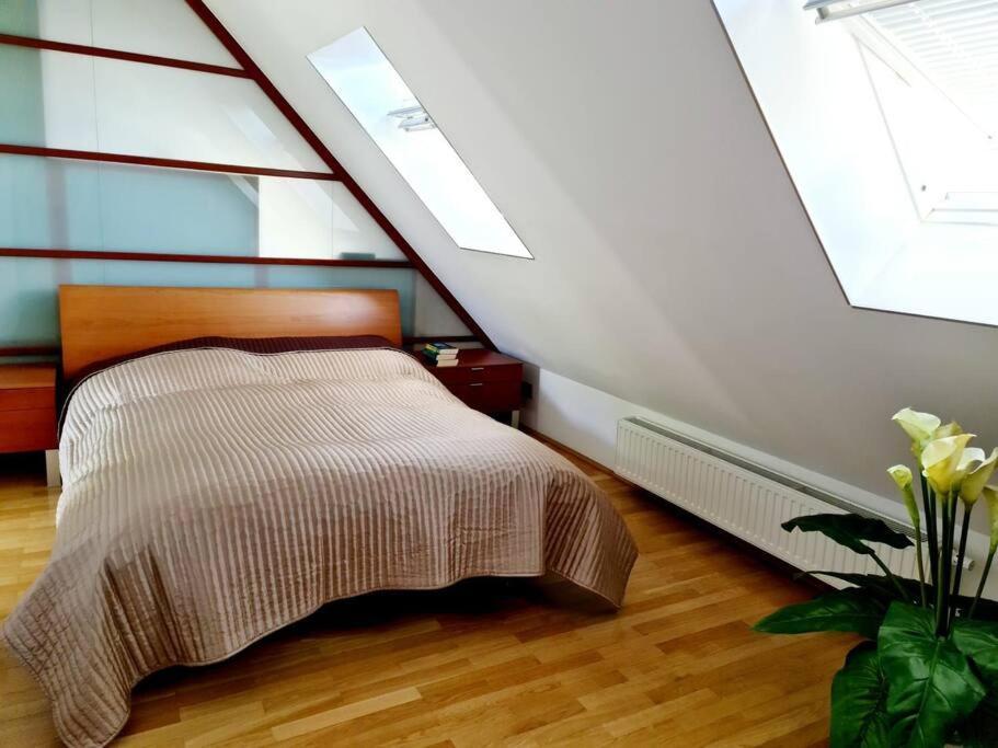 Luxury 4 Bedroom Roof With 3 Balconies & View Apartment