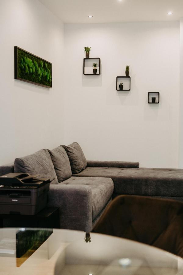 Modernes, Stilvolles Eingerichtetes Loft Apartment