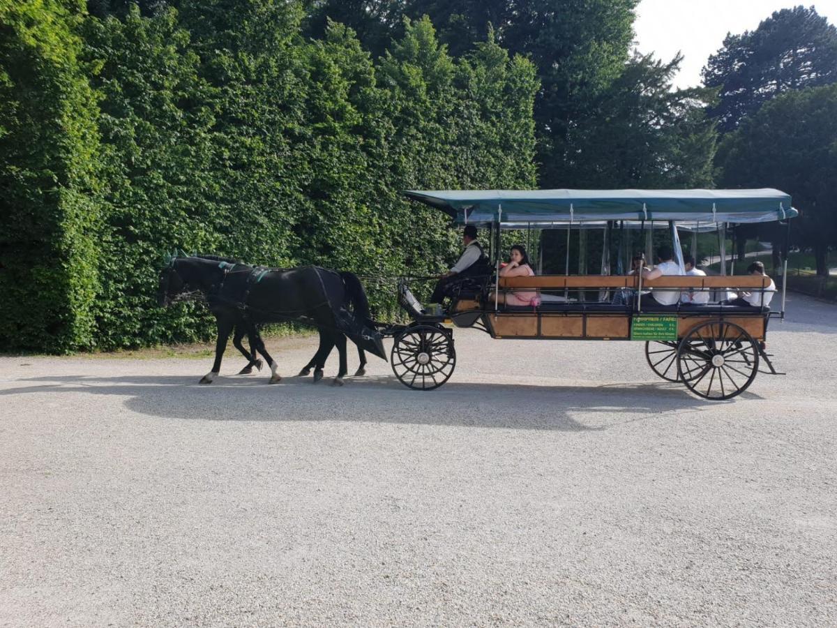 Mauthaus Schoenbrunn Apartment