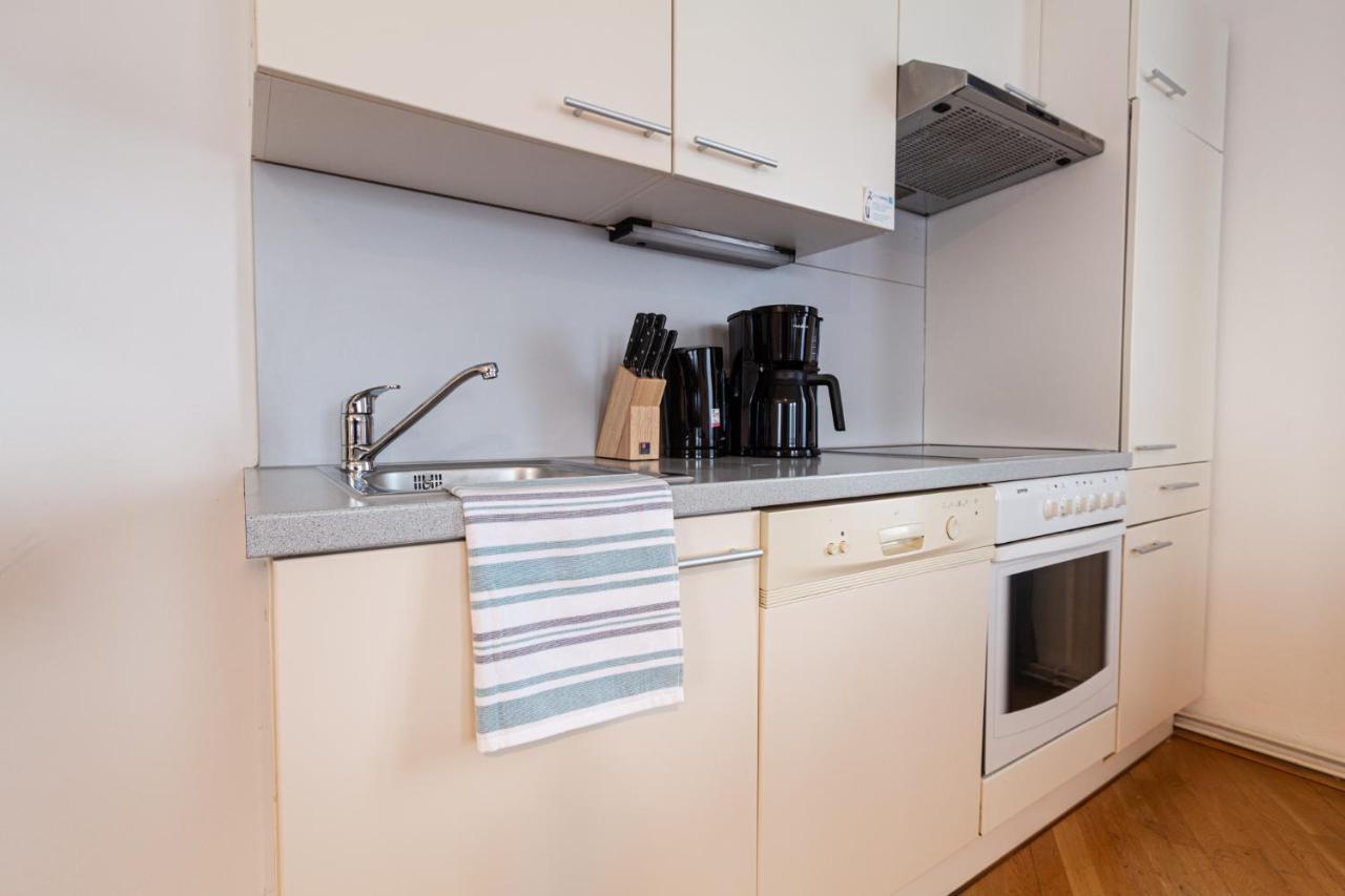 Mariahilfer Strasse Apartment Vienna