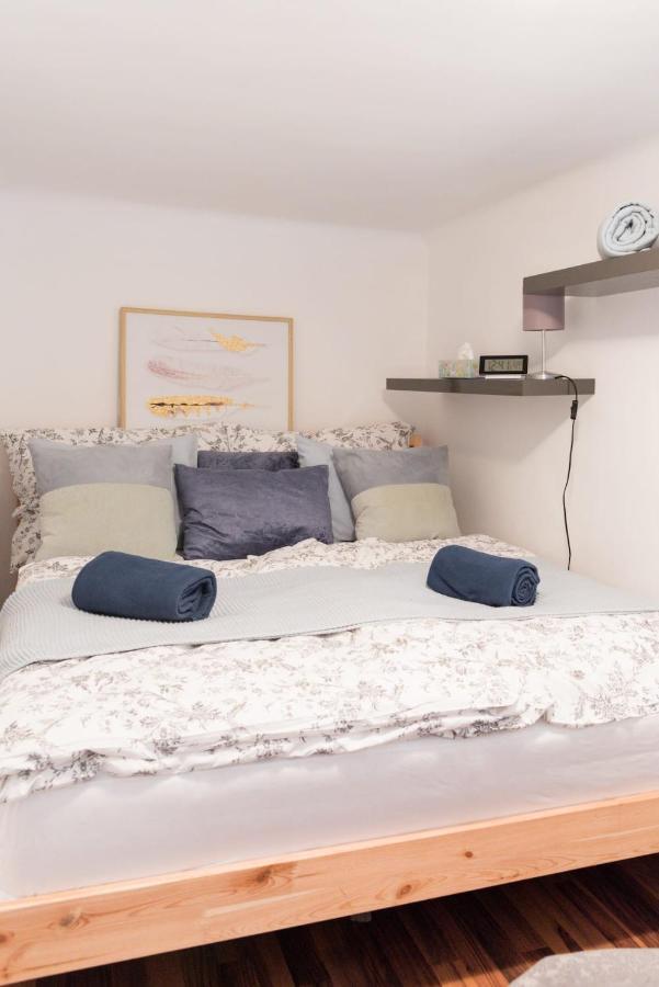 Apartment Luxurious And Spacious 5 Min Walk To City Center, 1-2