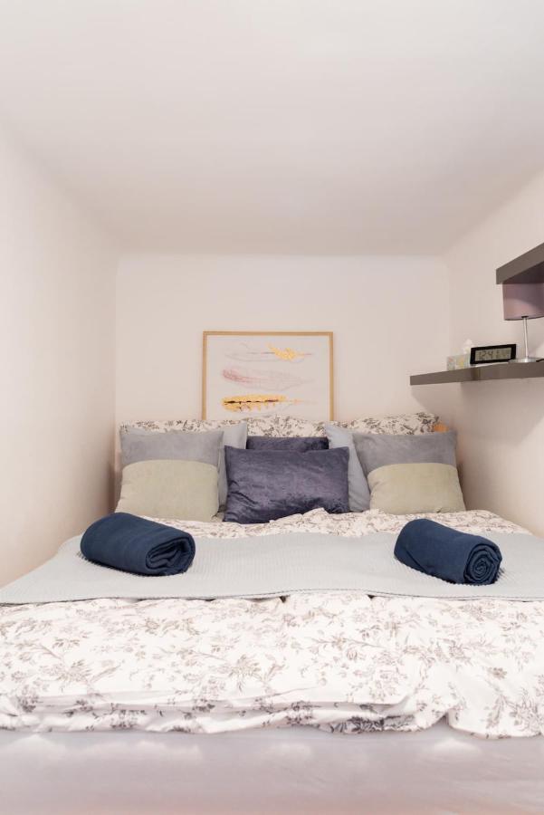 Apartment Luxurious And Spacious 5 Min Walk To City Center, 1-2
