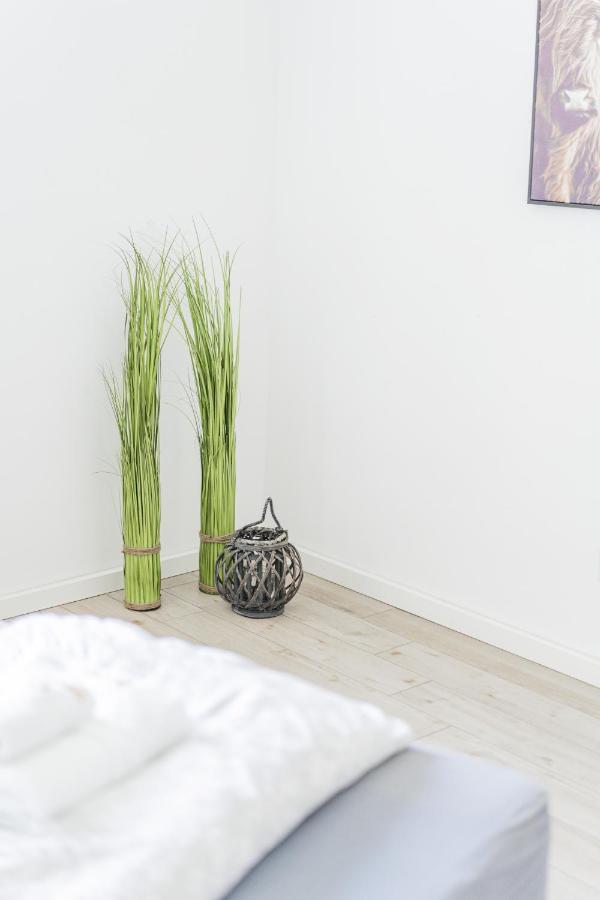 Schonbrunn Apartment *