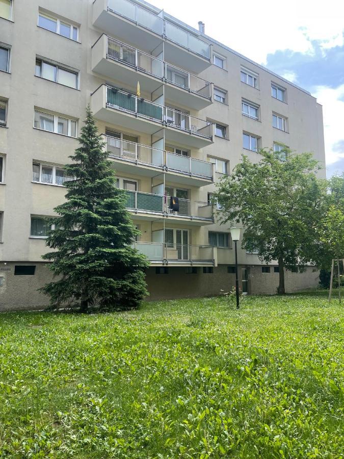 19 * Vienna