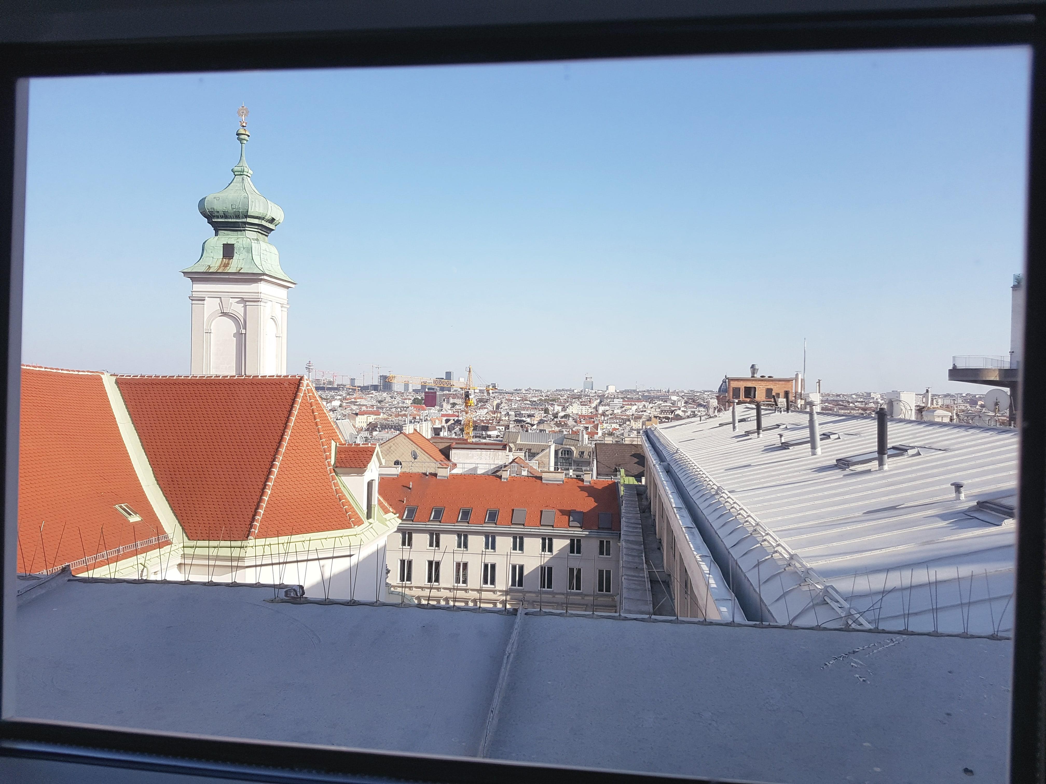 Haydn Vienna