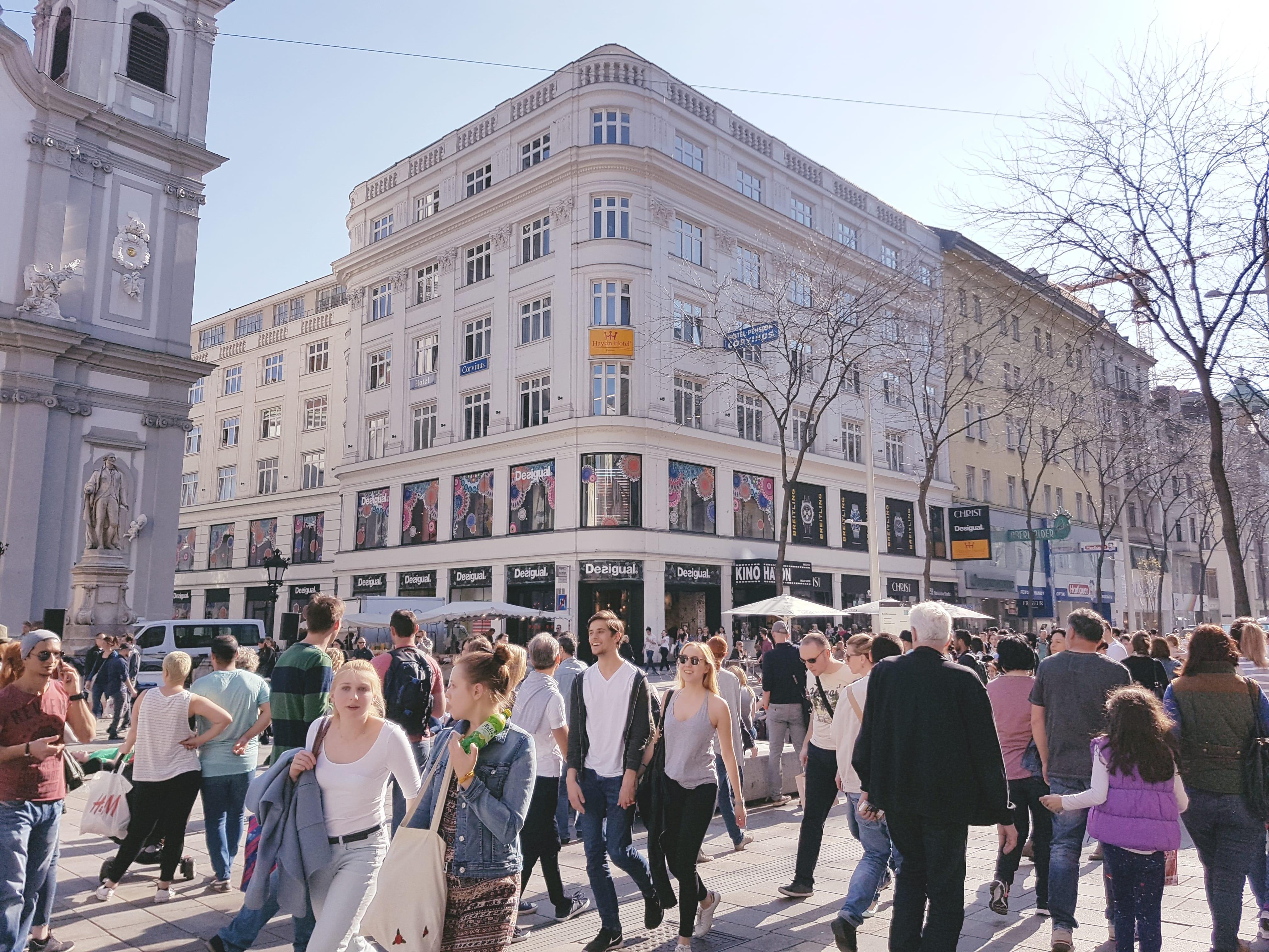Haydn Vienna