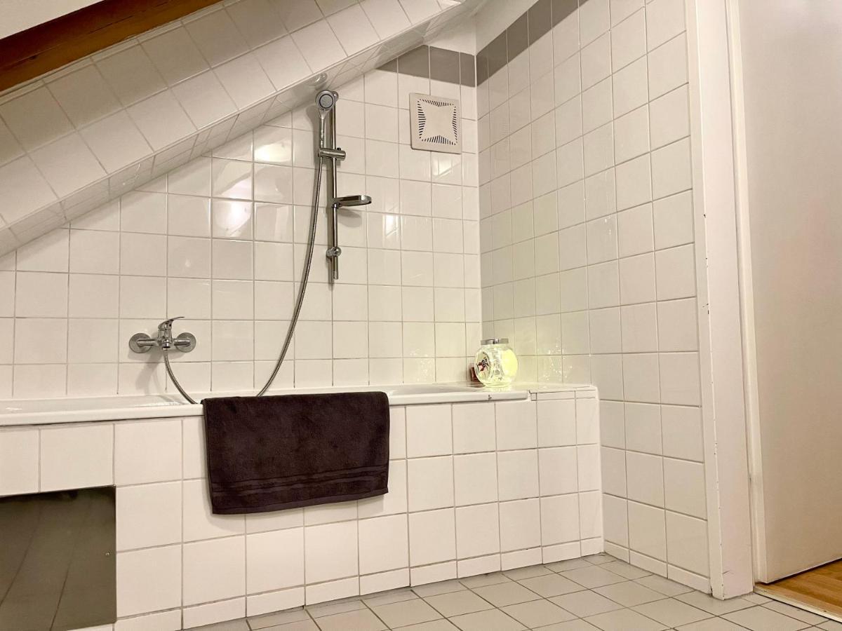 Klimatisiertes, Ruhiges Dachgeschoss Cityapartment Im Zentrum Wiens Apartment