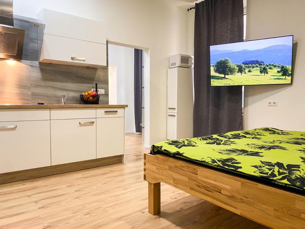 Senator Flat Paulusgasse 6 *