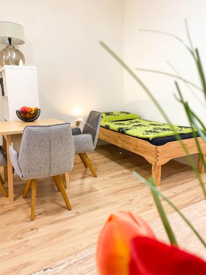 Senator Flat Paulusgasse 6 Apartment Wien