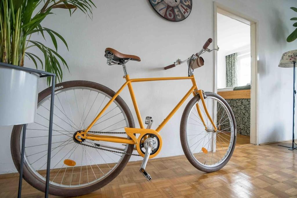 Cozy And Stylish Near Schoenbrunn Castle Vienna