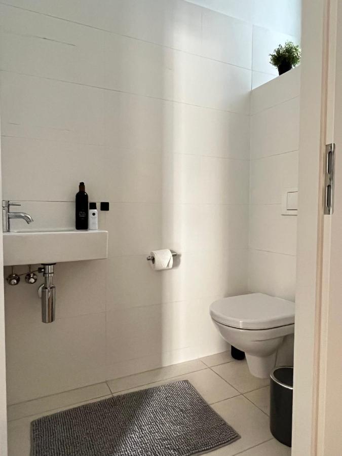 Belle Art Design Im Herzen Von Wien