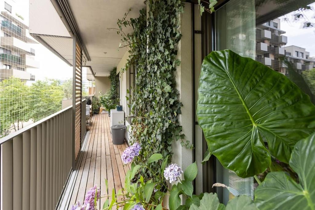 Dream - And Quiet With Ac And Free Parking Garage Apartment *