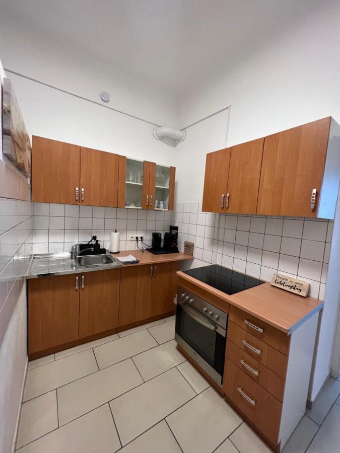 Spacious & Deluxe Big Near Prater Apartment