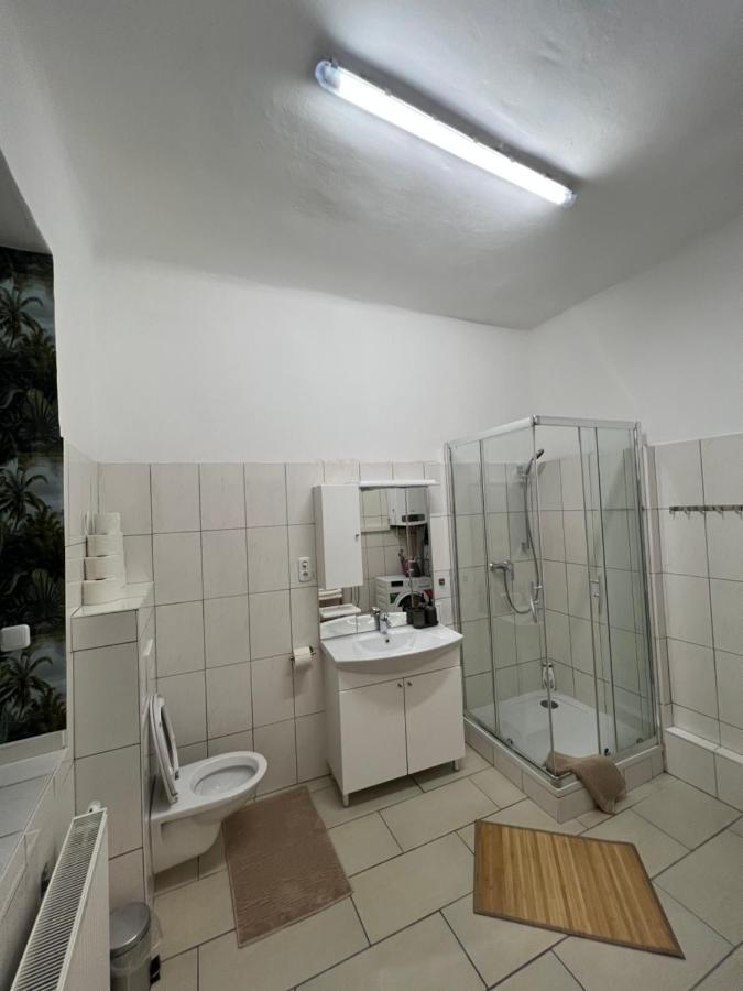 Spacious & Deluxe Big Near Prater Apartment