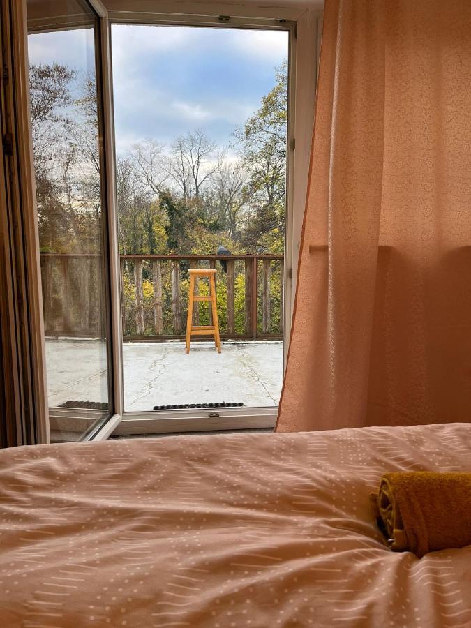 Breathtaking Shared Near Danube River /w Garden And Parking Affittacamere *